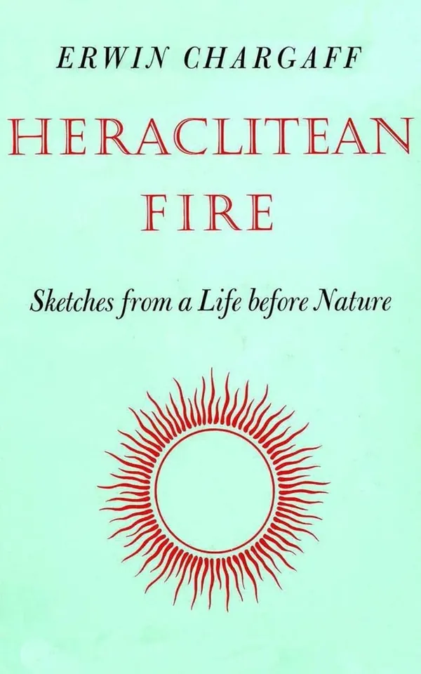 Heraclitean Fire