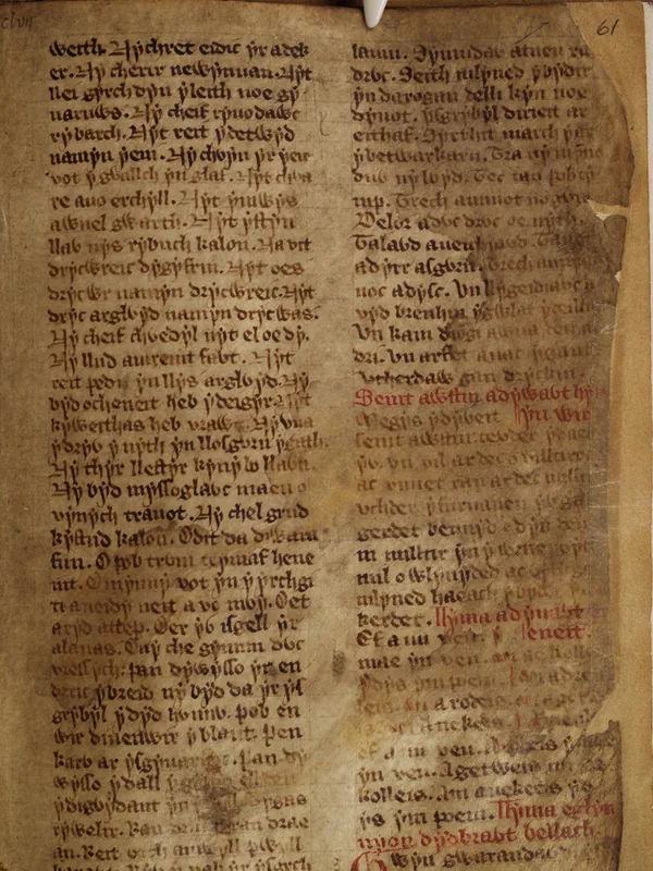 The Mabinogion