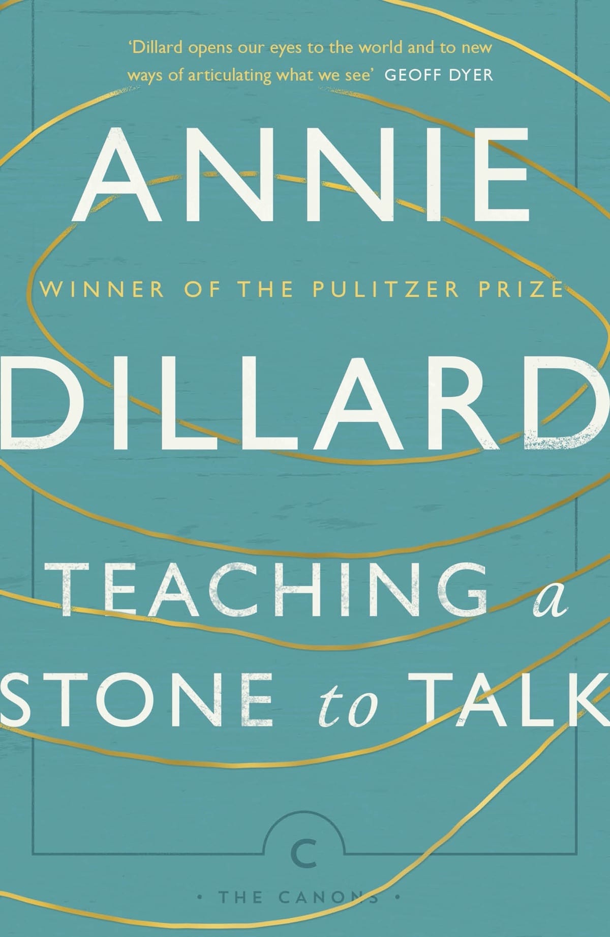 Teaching A Stone To Talk